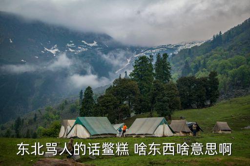 東北罵人的話鱉糕 啥東西啥意思啊