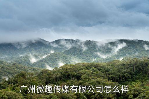 廣州趣搜傳媒有限公司，趣搜麻豆星怎么樣