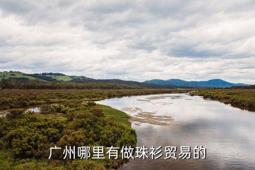 廣州到衫角貿(mào)易有限公司，廣州至群貿(mào)易2你去看了沒