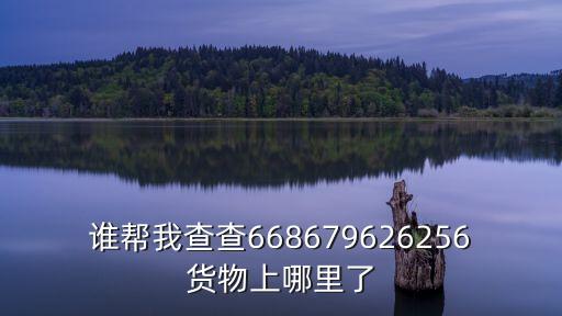 誰幫我查查668679626256貨物上哪里了