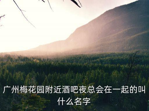 廣州梅花園附近酒吧夜總會在一起的叫什么名字