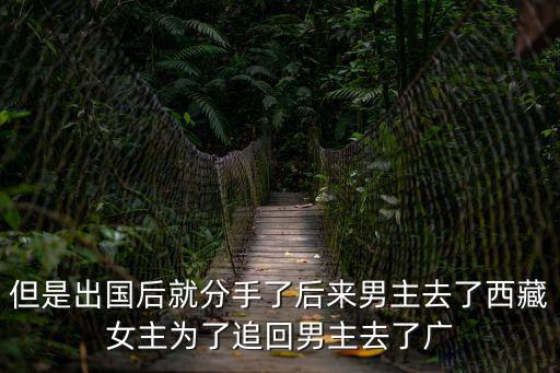 但是出國后就分手了后來男主去了西藏女主為了追回男主去了廣