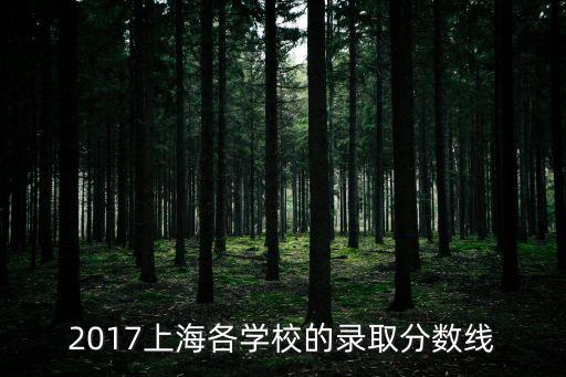 上海市南中學分數線2017，上海上南中學去年分數線多少
