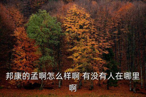 邦康的孟啊怎么樣啊 有沒有人在哪里啊