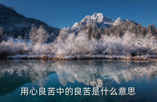 用心良苦的意思，用心良苦中的良苦是什么意思