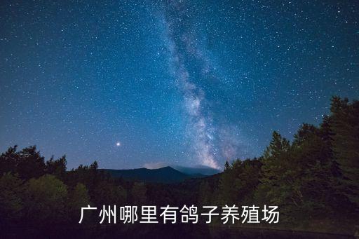 廣州哪里有鴿子養(yǎng)殖場
