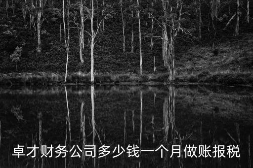 卓才財(cái)務(wù)公司多少錢一個(gè)月做賬報(bào)稅