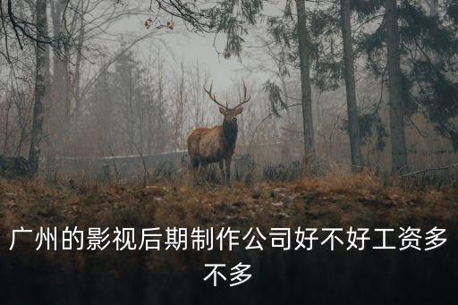 廣州的影視后期制作公司好不好工資多不多