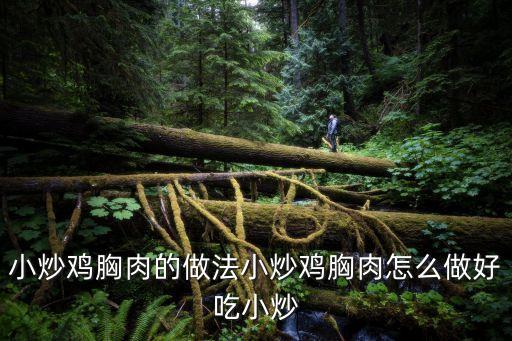 雞胸肉怎么炒好吃又嫩，小炒雞胸肉的做法小炒雞胸肉怎么做好吃小炒