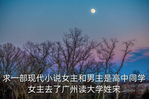 求一部現(xiàn)代小說女主和男主是高中同學(xué)女主去了廣州讀大學(xué)姓宋