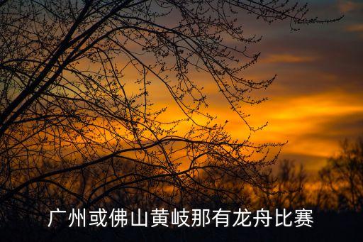 2020年廣州哪里有賽龍舟，廣州海珠今天在哪里有賽龍舟看今天鐘開始