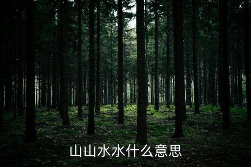 山山水水什么意思