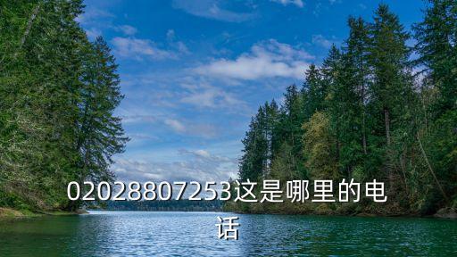 02028807253這是哪里的電話