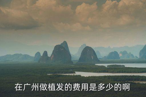 廣州植發費用赫赫有名新生y，在廣州做植發的費用是多少的啊