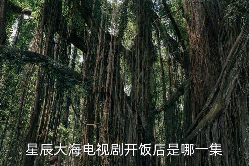 星辰大海電視劇開(kāi)飯店是哪一集