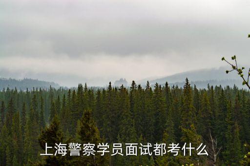 上海市警察學(xué)員面試是哪里組織，2019上海公務(wù)員警察類考試面試有無領(lǐng)導(dǎo)小組嗎