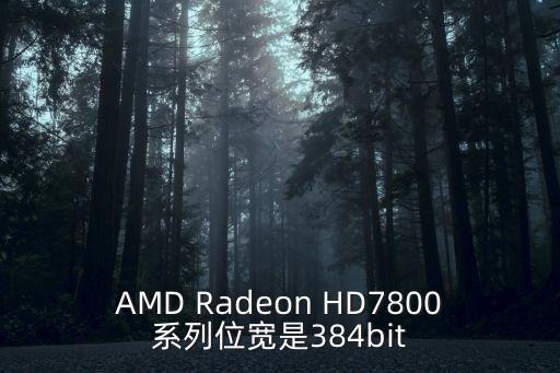 AMD Radeon HD7800系列位寬是384bit