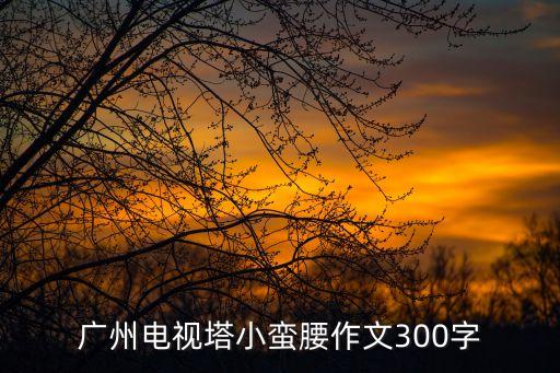 廣州塔小蠻腰嘎子，廣州標志性建筑小蠻腰位于那里