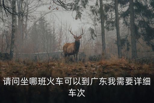 請問坐哪班火車可以到廣東我需要詳細車次