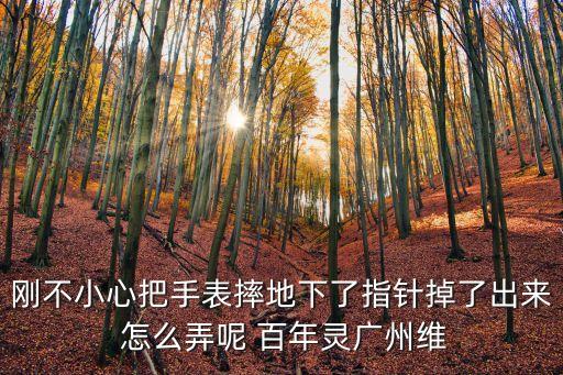 剛不小心把手表摔地下了指針掉了出來 怎么弄呢 百年靈廣州維