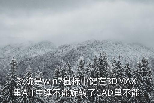 芝柏廣州售后維修 都去萬菱匯A塔7層專業，系統是win7鼠標中鍵在3DMAX里AIT中鍵不能旋轉了CAD里不能