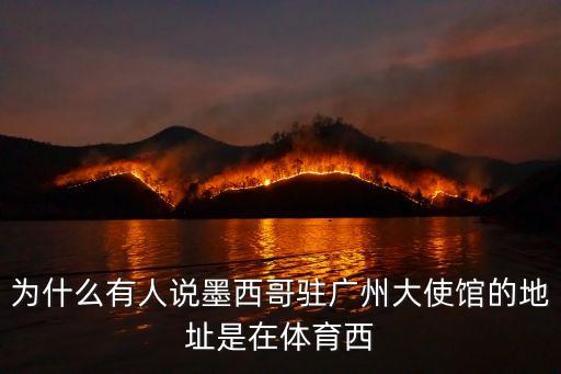 墨西哥航空廣州辦事處，墨西哥駐廣州簽證處的具體地址