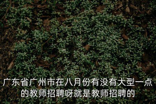廣東省廣州市在八月份有沒有大型一點的教師招聘呀就是教師招聘的