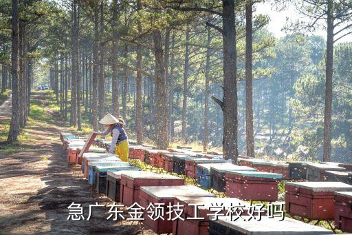 廣州增城金領(lǐng)技工學(xué)校怎么樣 好不好，廣州金領(lǐng)技工學(xué)校怎么樣