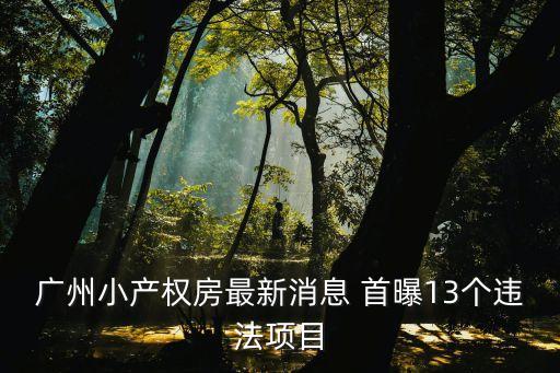 廣州小產權不予登記，2015新出臺的小產權不能登記是什么意思