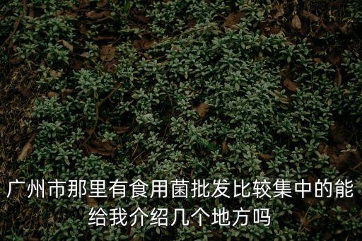 廣州市那里有食用菌批發(fā)比較集中的能給我介紹幾個(gè)地方嗎