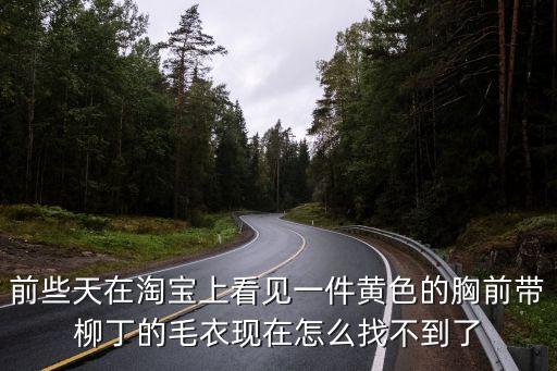 前些天在淘寶上看見一件黃色的胸前帶柳丁的毛衣現(xiàn)在怎么找不到了
