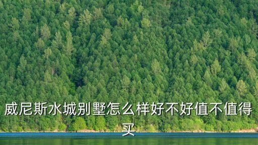 廣州增城水上威尼斯別墅，威尼斯的房子是怎么建在水上的