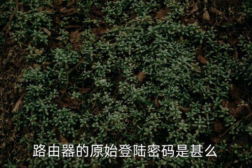 路由器的原始登陸密碼是甚么