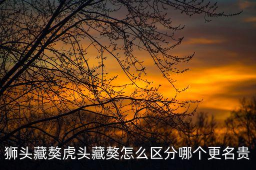 虎頭藏獒，獅頭藏獒虎頭藏獒怎么區分哪個更名貴
