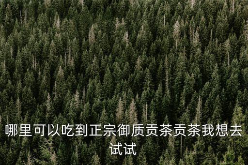 哪里可以吃到正宗御質貢茶貢茶我想去試試