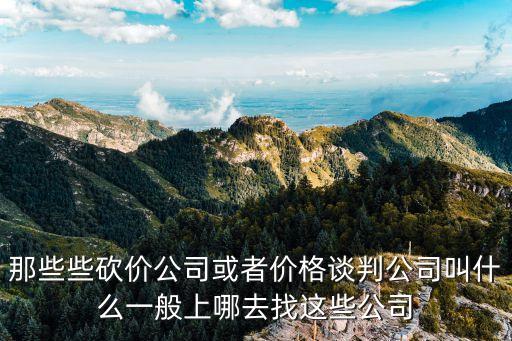 那些些砍價公司或者價格談判公司叫什么一般上哪去找這些公司