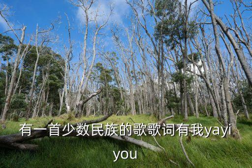 有一首少數(shù)民族的歌歌詞有我yayiyou