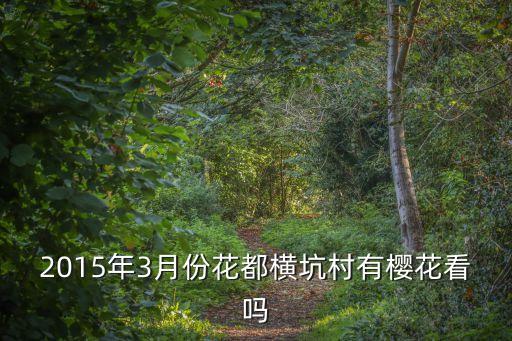2015年3月份花都橫坑村有櫻花看嗎