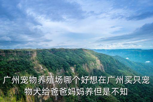 廣州寵物養(yǎng)殖場哪個好想在廣州買只寵物犬給爸爸媽媽養(yǎng)但是不知
