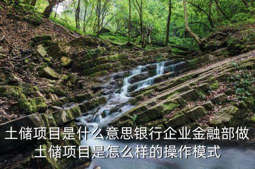 土儲項目是什么意思銀行企業金融部做土儲項目是怎么樣的操作模式