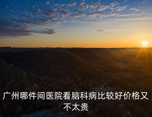 廣州哪件間醫(yī)院看腦科病比較好價格又不太貴