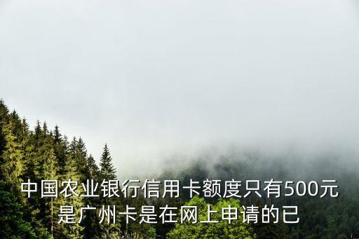 農(nóng)行廣州信用卡，中國農(nóng)業(yè)銀行信用卡額度只有500元是廣州卡是在網(wǎng)上申請的已