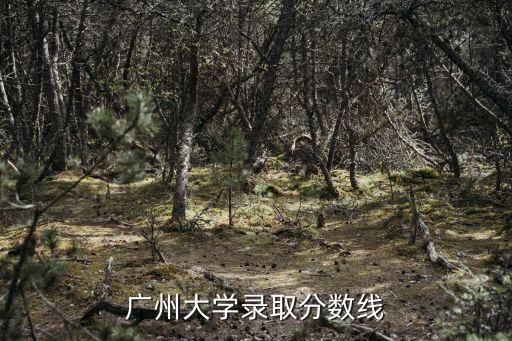 廣州大學錄取分數線