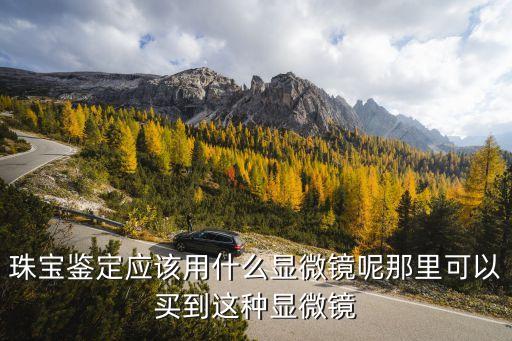 珠寶鑒定應(yīng)該用什么顯微鏡呢那里可以買到這種顯微鏡