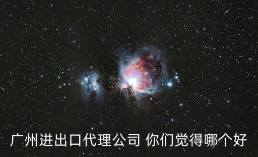 廣州鴻中鴻進出口，廣州進出口代理公司 你們覺得哪個好