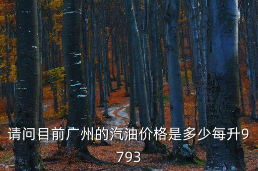 目前廣州油價，請問目前廣州的汽油價格是多少每升9793