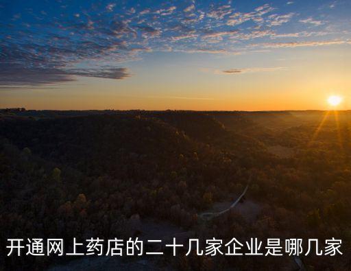 開通網(wǎng)上藥店的二十幾家企業(yè)是哪幾家