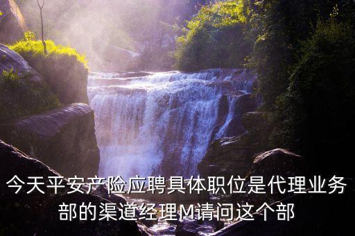 平安產險廣州分公司副總經理，我是2007年12月被任命為某分公司副經理并主持工作請問在副經理