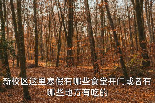 新校區這里寒假有哪些食堂開門或者有哪些地方有吃的