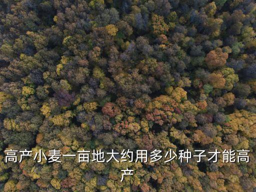 高產(chǎn)小麥一畝地大約用多少種子才能高產(chǎn)